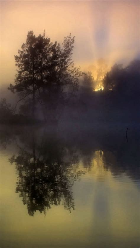 Wallpaper Morning Sunrise Fog Trees Lake Water Reflection 1920x1200
