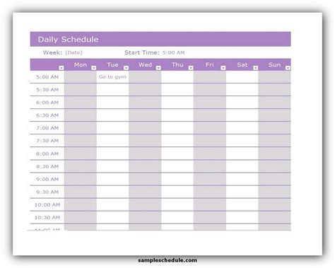 Free Daily Schedule Templates Excel Word Templatearchive Riset