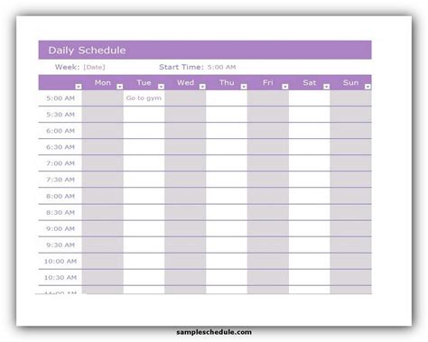 5 Daily Schedule Template Excel - sample schedule