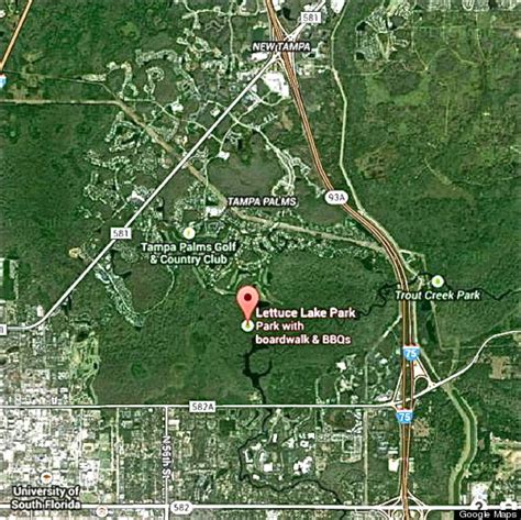 Another Skunk Ape Or Bigfoot Hoaxer Rears Its Ugly Head In Florida