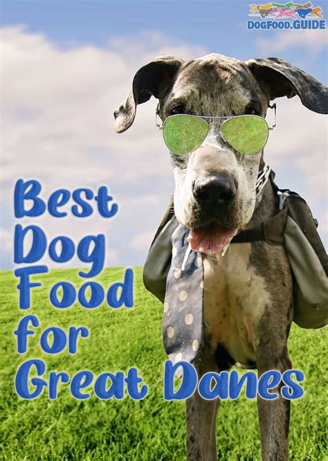 Best dog food for german shepherds 2021 comparisons and reviews. Best Dog Food For Great Danes 2021: Recommended Brands for ...