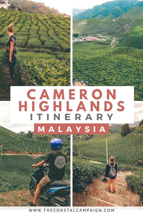 Perfect 3 Day Cameron Highlands Itinerary The Coastal Campaign