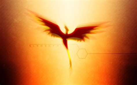 Phoenix Bird 1920x1200 Wallpaper