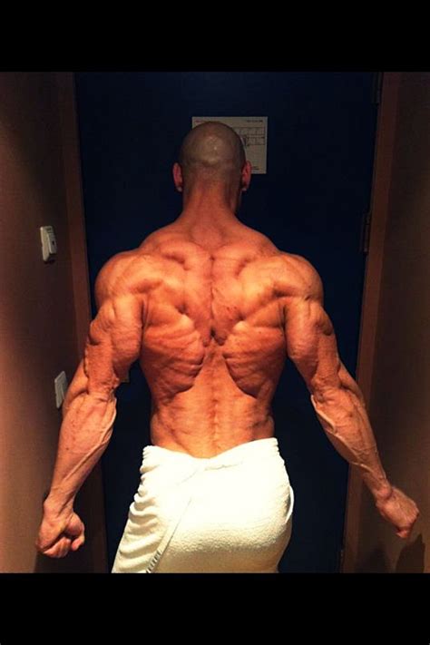 This is my video about the muscles of the back. RIPPED!! Anatomy Chart? Yeah! ~mikE™ | Anatomy reference ...