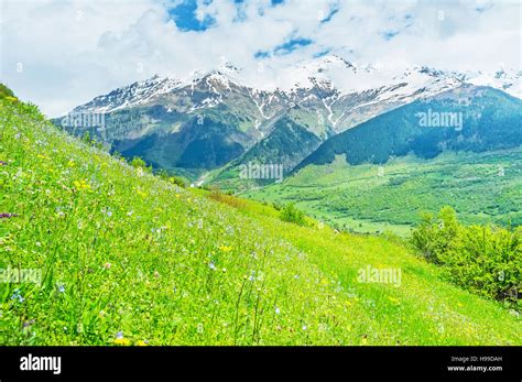 The Juicy Meadow With Colorful Wildflowers On The Steep Slope With The