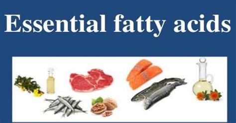 Essential Fatty Acids Assignment Point
