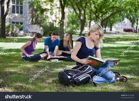 College Students Studying College Campus库存照片93158596 Shutterstock