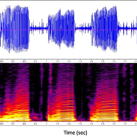 Spectrograms And Oscillograms This Is An Oscillogram And Spectrogram