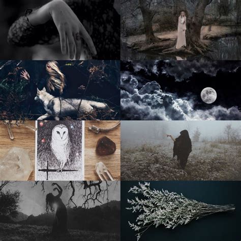 Witcheslookbook Witch Season Of The Witch Witch Art