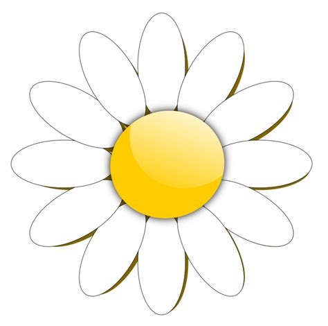 Download Daisy clipart flower head, Daisy flower head Transparent ...