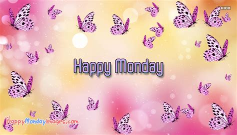 Happy Monday Butterfly Images