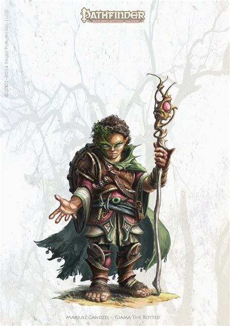 Pin On Fantasy Races Halflings And Gnomes