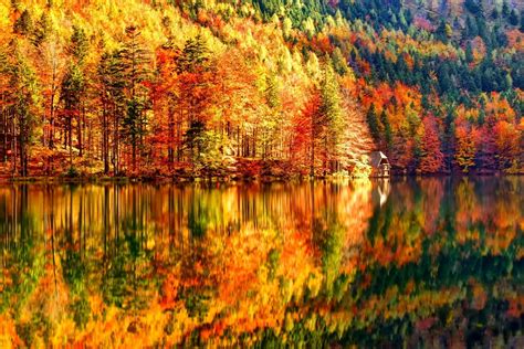 Download Lake Reflection Forest House Nature Fall Hd Wallpaper