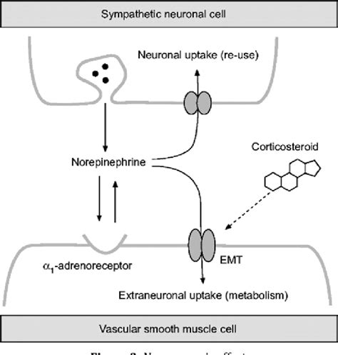 Figure From Gr Upsm Mechanisms Of Action Of Glucocorticoids In Bronchial Asthma Semantic Scholar