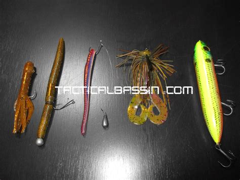 Top 5 Baits For Spotted Bass — Tactical Bassin Bass Fishing Blog