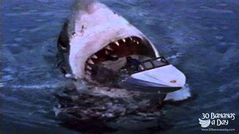 Megalodon Shark Attack Tourist Boat Off Sydney Harbour Australia: Real