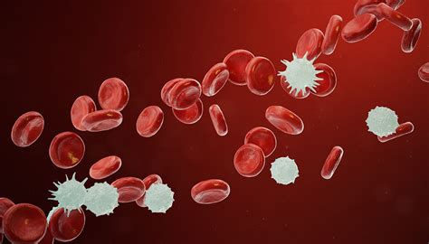 10 Proven Ways To Fight Blood Cancer And Keep It Away Forever The
