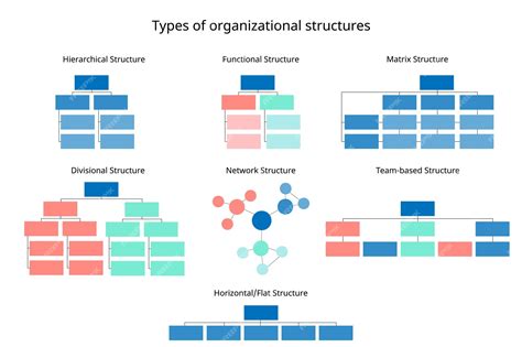 Premium Vector 7 Types Of Organizational Structures To Organize The