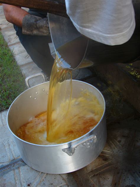 However, the hard part is not the preparation of ayahuasca tea, but consuming it, or as it is widely pictured by the masses. Ayahuasca: Generating The Divine Within From The Vine Of ...
