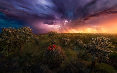 Nature Landscape Lightning Storm Shrubs Grass Sky
