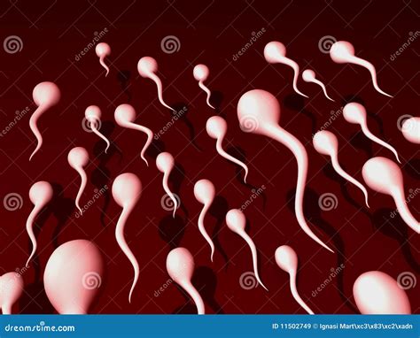 Sperm Stock Illustration Illustration Of White Biologists 11502749