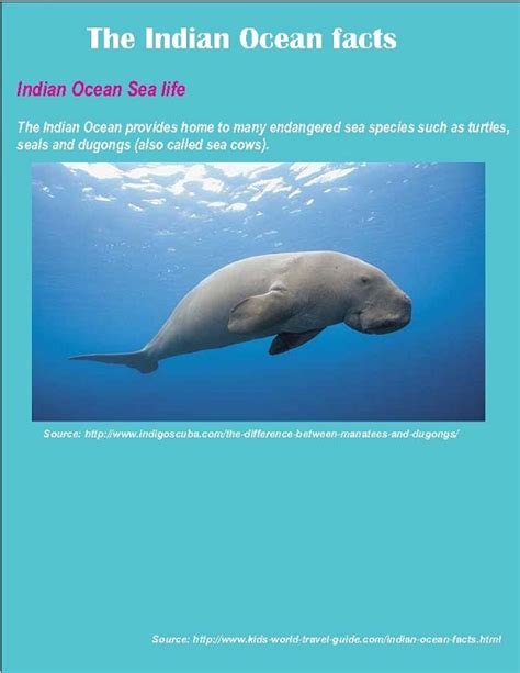 Indian Ocean Facts