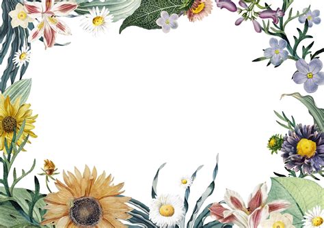 Download Floral frame background - Download Free Vectors, Clipart ...