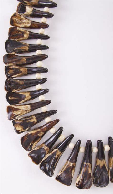 Exotic Vintage Native American Buffalo Teeth With