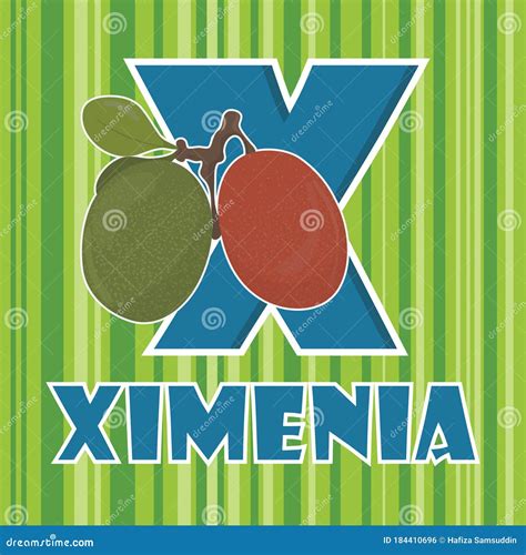 X For Ximenia Vector Illustration Decorative Background Design Stock