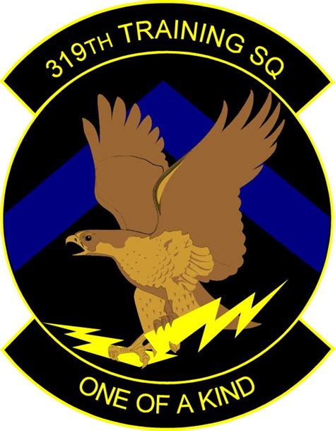 319th Training Squadron One Of A Kind 319 Trs Air Force Patches