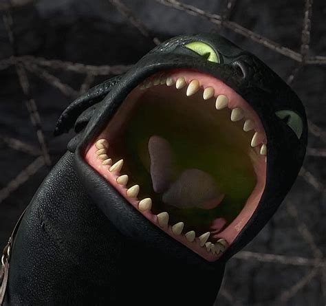 Toothless Thats Some Impressive Teeth You Got There Bud Xd Httyd