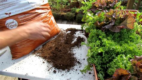 Learn how to calculate exactly how much dirt you need to fill a hole. Understanding Bagged Garden Soil Products for Containers ...