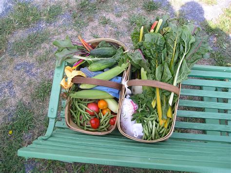 Franklin County Pa Gardeners Victory Garden Harvest Time