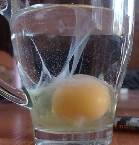 gonia on Twitter: "I did an egg cleanse so can someone help interpret