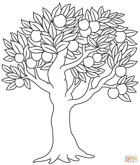 Apple Tree Coloring Page Free Printable Coloring Pages