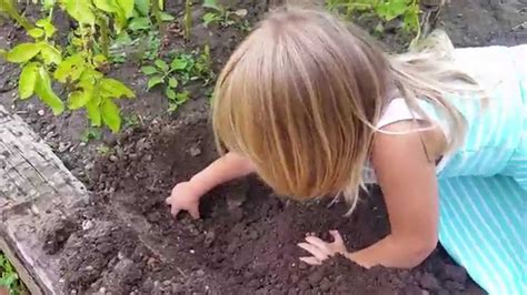 Double digging aerates the deeper layers of your garden's soil. Kids Love to Garden Too - Digging Potatoes - YouTube