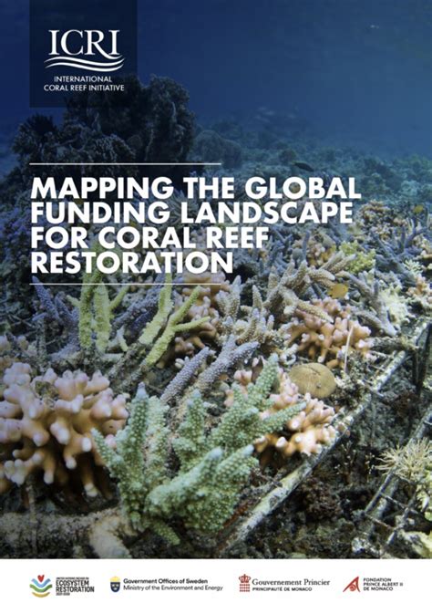 Mapping The Global Funding Landscape For Coral Reef Restoration