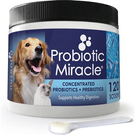 Buy Probiotics For Cats And Dogs 120 Scoops Probiotic Miracle