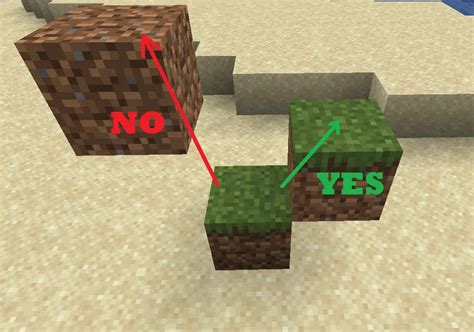 How To Turn Dirt Into Grass Blocks In Minecraft