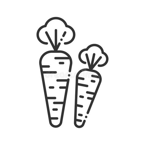 Carrot Black Line Icon Natural Vegetable Healthy Organic Food