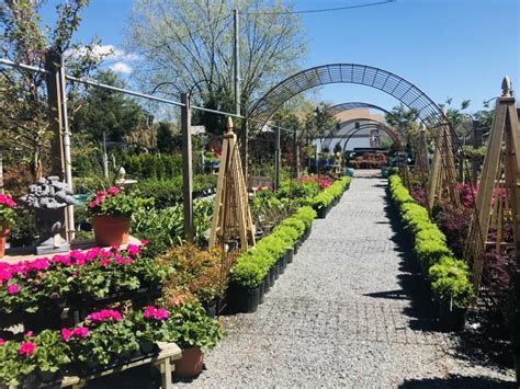 Shop wharton at the penn bookstore. Wharton's Garden Center is in BLOOM | Cape Gazette