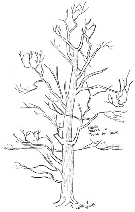 How To Draw Trees Drawing Realistic Trees In Simple Steps How To Draw Step By Step Drawing