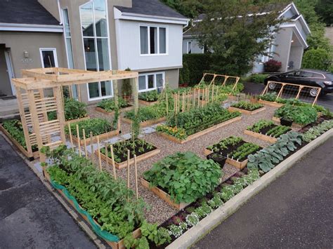 Organisation Et Structuration Du Potager Jardins Roi Soleil