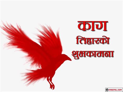 50 Happy Kag Tihar Crow Puja Greeting Cards And Wishes Images