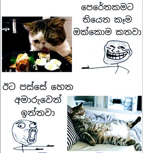 Whatsapp status sehen bei ios. Sinhala JoKes image by Fathi NuuH | Jokes photos, Funny ...