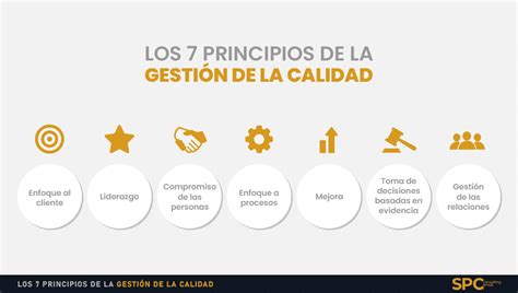 Los 7 Principios De La Gestión De La Calidad Spc Consulting Group