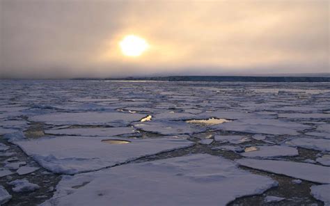 Arctic Climate | AdventureSmith Explorations