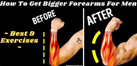 How To Get Bigger Forearms For Men Best 9 Exercises