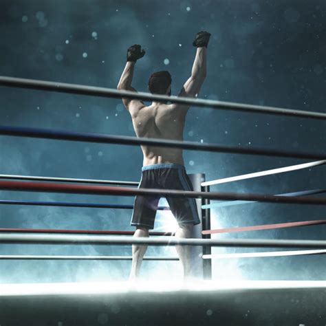 Olympic Boxing 2020 Box Cover Art Mobygames