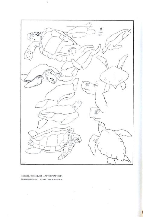 Animal drawings, Drawings, Art